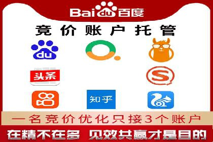 SEM广告投放的精准定位与优化案例